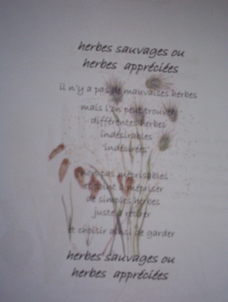 Fichier:Herbes.jpg