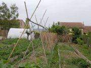 un jardin de fainéant