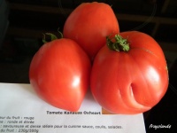 Kanauss Oxheart-1.jpg