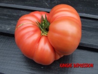 Kansas depression.jpg