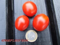Korney's jelly bean.jpg