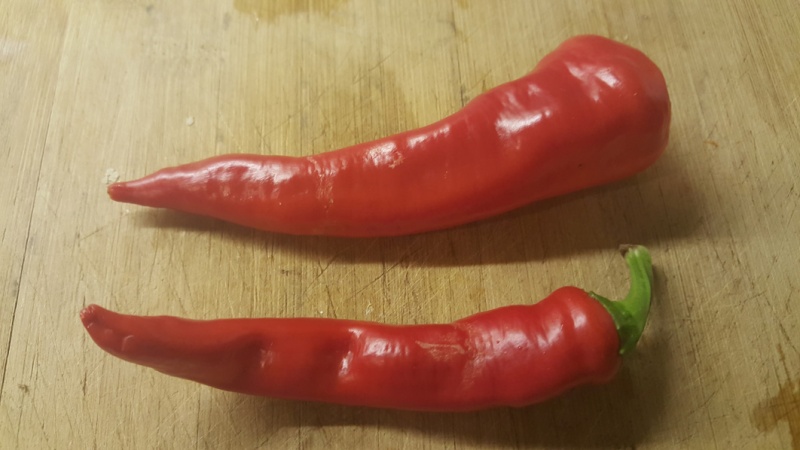 Fichier:Lemmes Italian Sweet.jpg