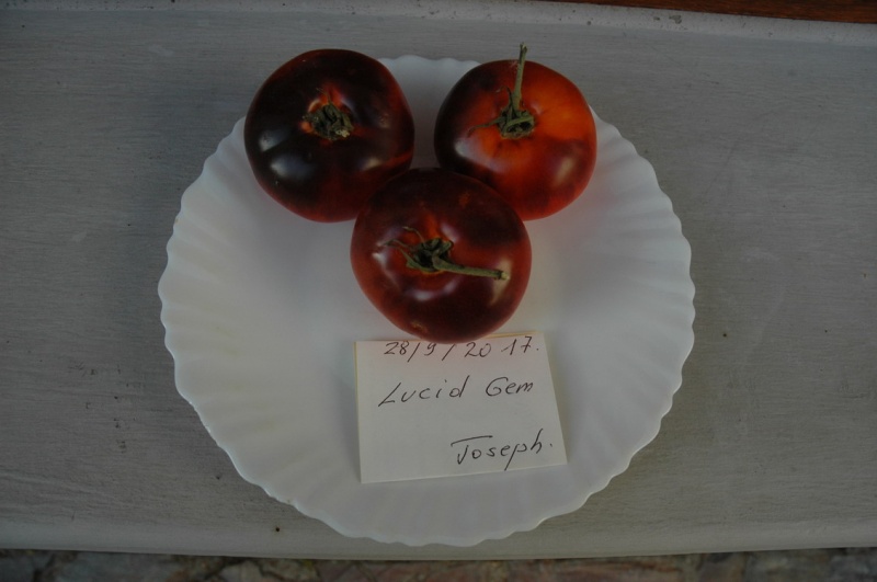 Fichier:Lucid gem-1.jpg