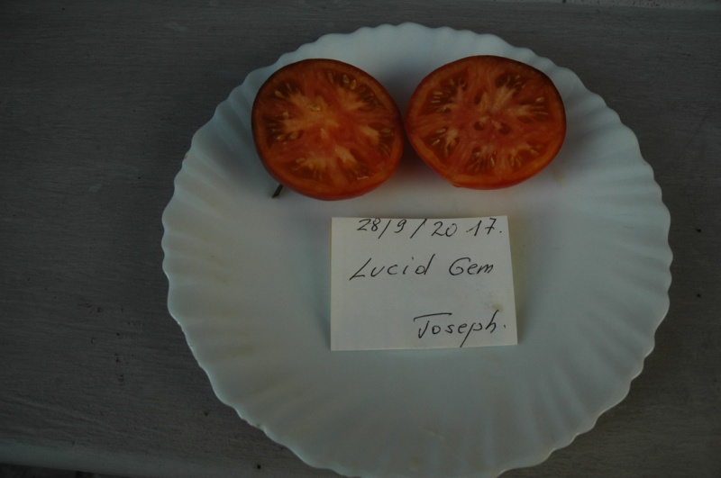 Fichier:Lucid gem-2.jpg