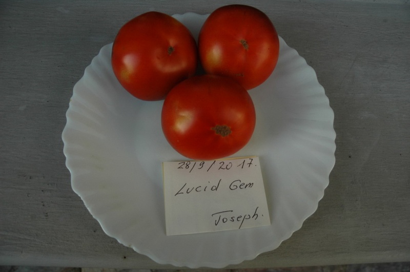 Fichier:Lucid gem.jpg