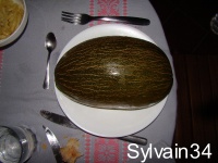 MELON pinonet piel de sapo-1.jpg