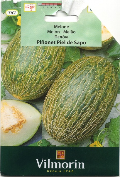Fichier:MELON pinonet piel de sapo-2.jpg