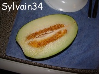 MELON pinonet piel de sapo.jpg