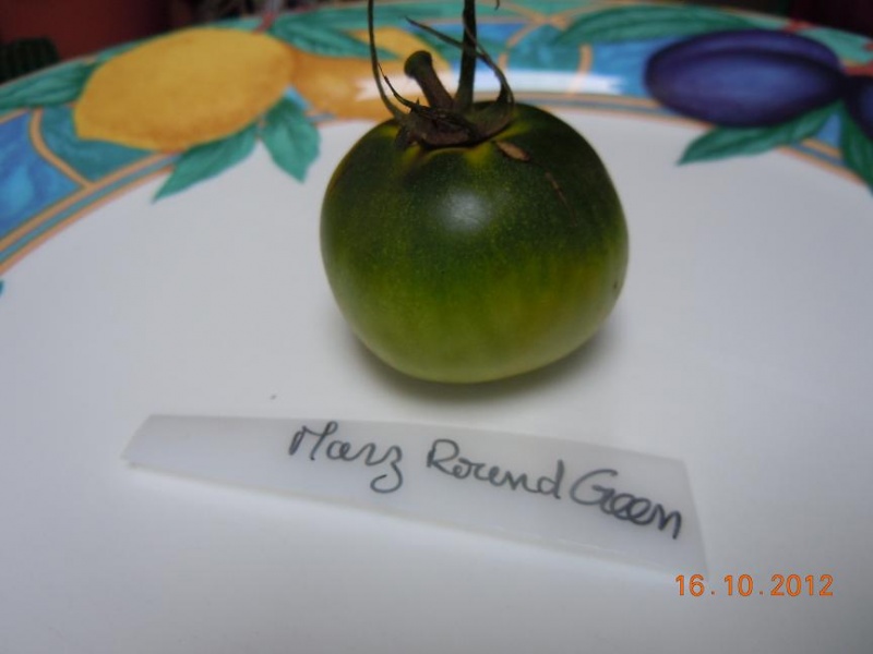 Fichier:Marz round green.jpg