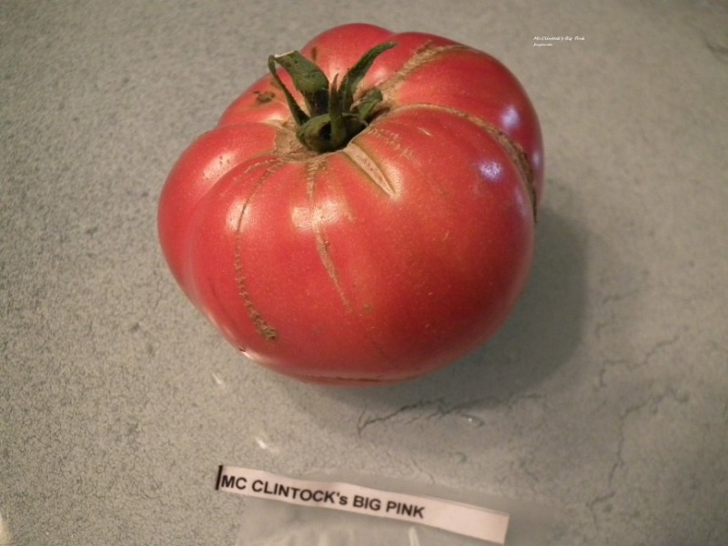 Fichier:Mc Clintock's Big Pink.jpg