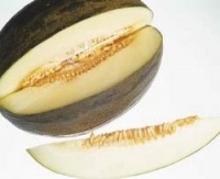 Melon de la Mancha-1.jpg