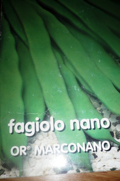 Fichier:Or marconano-1.jpg