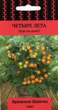 Oranzhevaja shapochka-1.jpg