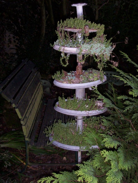 Fichier:Orpin 'tout mélange'-1.jpg