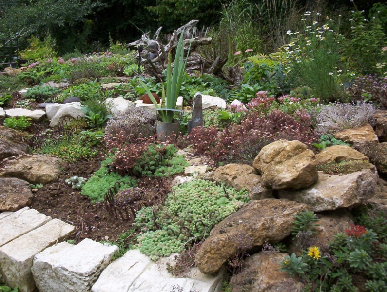 Fichier:Orpin 'tout mélange'.jpg