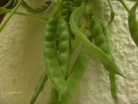 PETIT CARRE DE CAEN-1.jpg