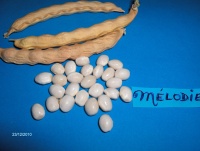 PETIT CARRE DE CAEN.jpg