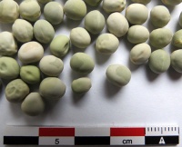 POIS A SOUPE Saint-Hubert.jpg