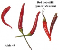 Piment red hot chili.jpg