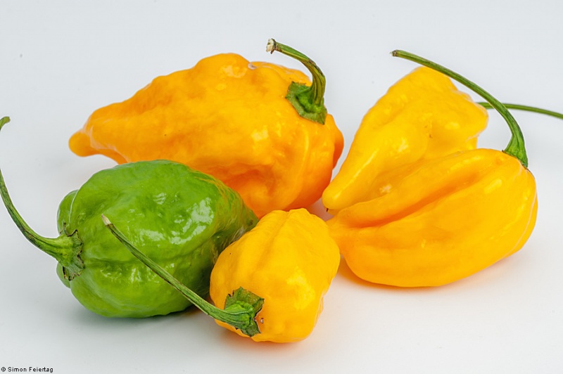 Fichier:Piment scotch bonnet yellow.jpg