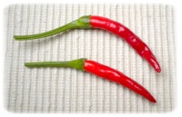 Piment takanotsume-1.jpg