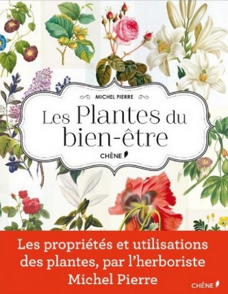 Fichier:Plantesbienetre.jpg