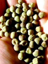 Pois à Soupe Charlevoix-1.jpg