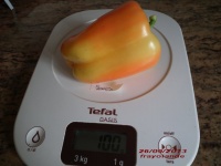 Poivron Boneta-1.jpg