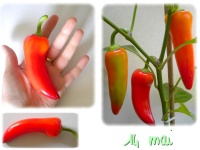 Poivron banane doux-1.jpg