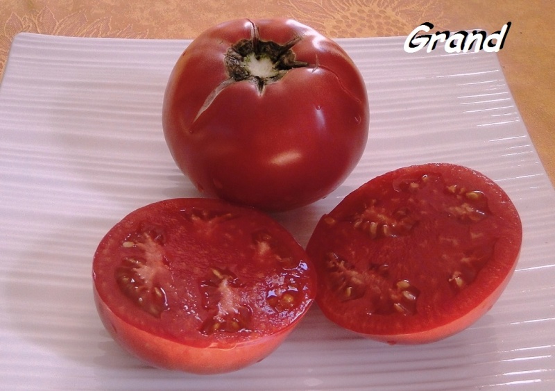 Fichier:TOMATE Mikada rose-2.jpg