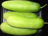 Thai five star-1.jpg