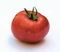 Tomate Atlantic Prize.jpg