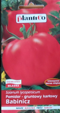 Tomate Babinicz.jpg