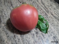 Tomate Babushka Byka.jpg