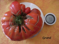 Tomate Brandywine Pink OP-1.jpg