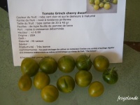 Tomate GRINCH CHERRY DWARF.jpg