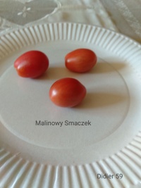 Tomate Malinowy Smaczek.jpg