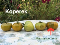 Tomate Marmande verte-1.jpg