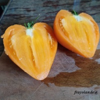 Tomate Pastel Orange Heart-1.jpg