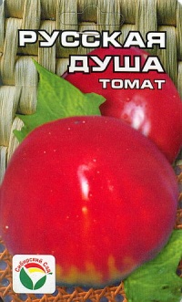 Tomate Russkaya Doucha-1.jpg