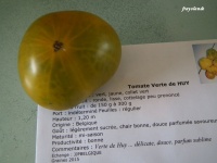 Tomate Verte de Huy.jpg