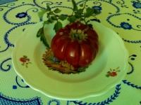 Tomate arbuznyi-1.jpg