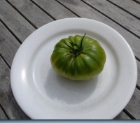 Tomate aunt ruby s german green-2.jpg