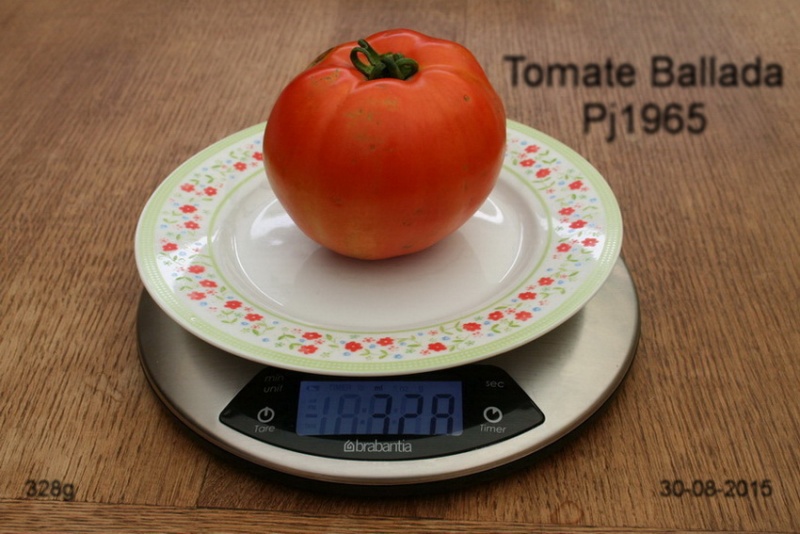 Fichier:Tomate ballada.jpg