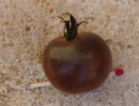 Tomate black cherry.jpg