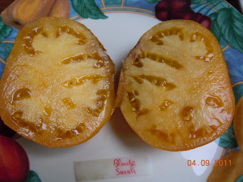Fichier:Tomate blonde sarah.jpg