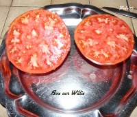 Tomate box car willie.jpg