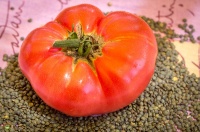 Tomate brandywine sudduth s strain op-2.jpg