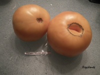Tomate brown s yellow giant-1.jpg
