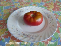 Tomate caspienne rose op-1.jpg